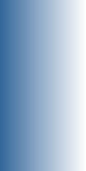 Rectangle 409